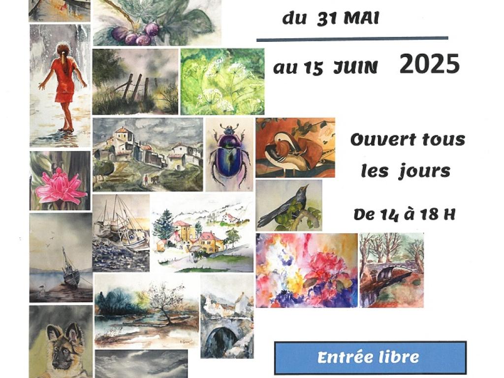 Exposition d'aquarelle