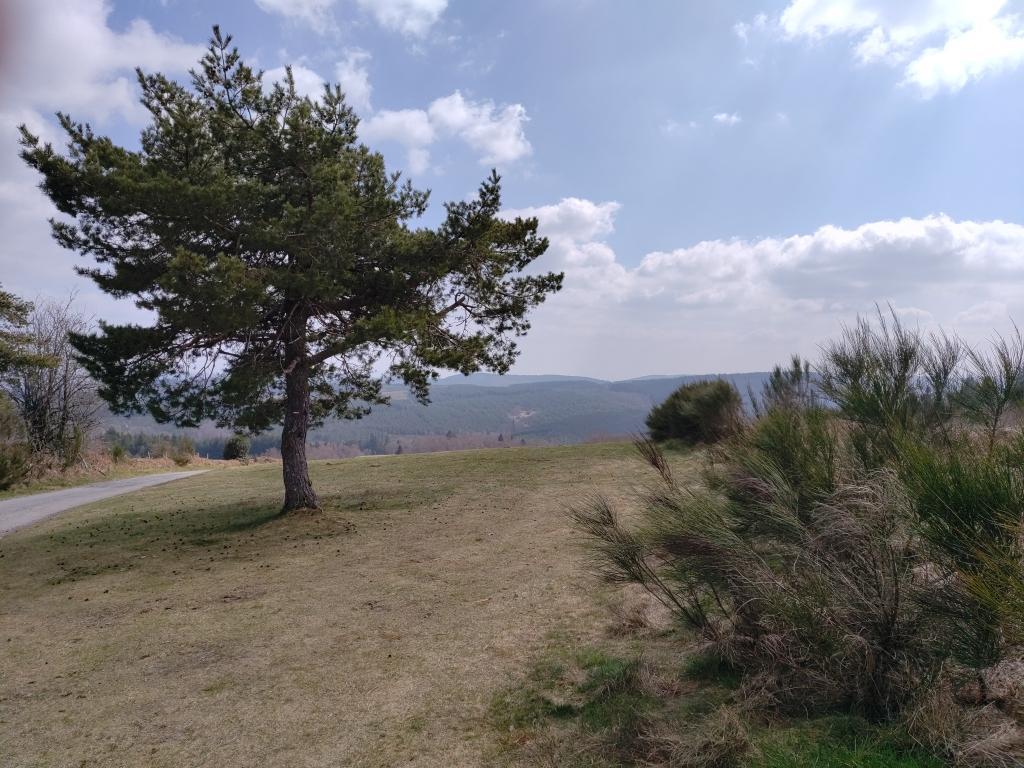 Balade secrète en Corrèze "Balade au coeur du Parc Naturel Régional de Millevaches"