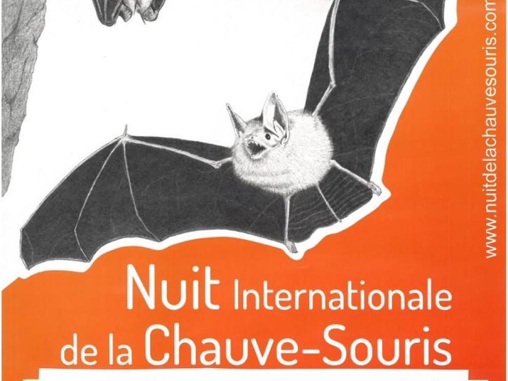Nuit internationale de la chauve-souris