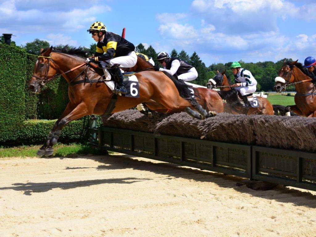 Courses hippiques