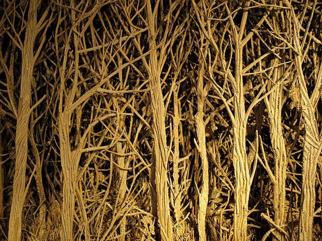 Apéro Art et Histoire Balade à travers bois, quand l'art montre la forêt Micro Folie