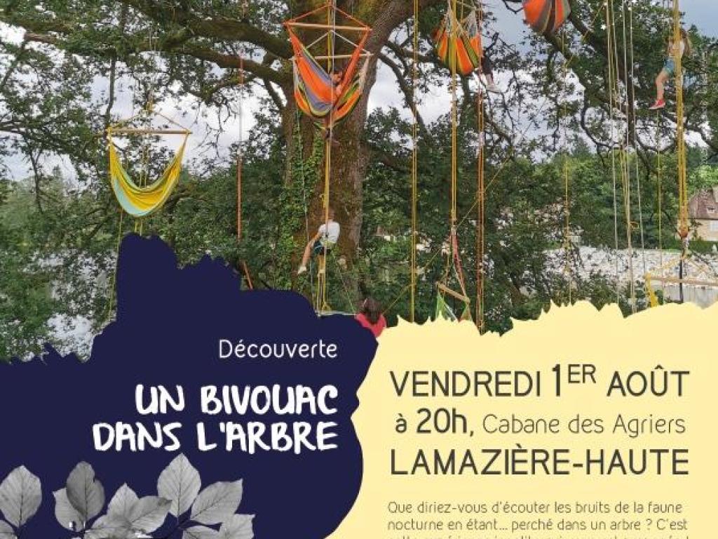 Un bivouac dans l'arbre