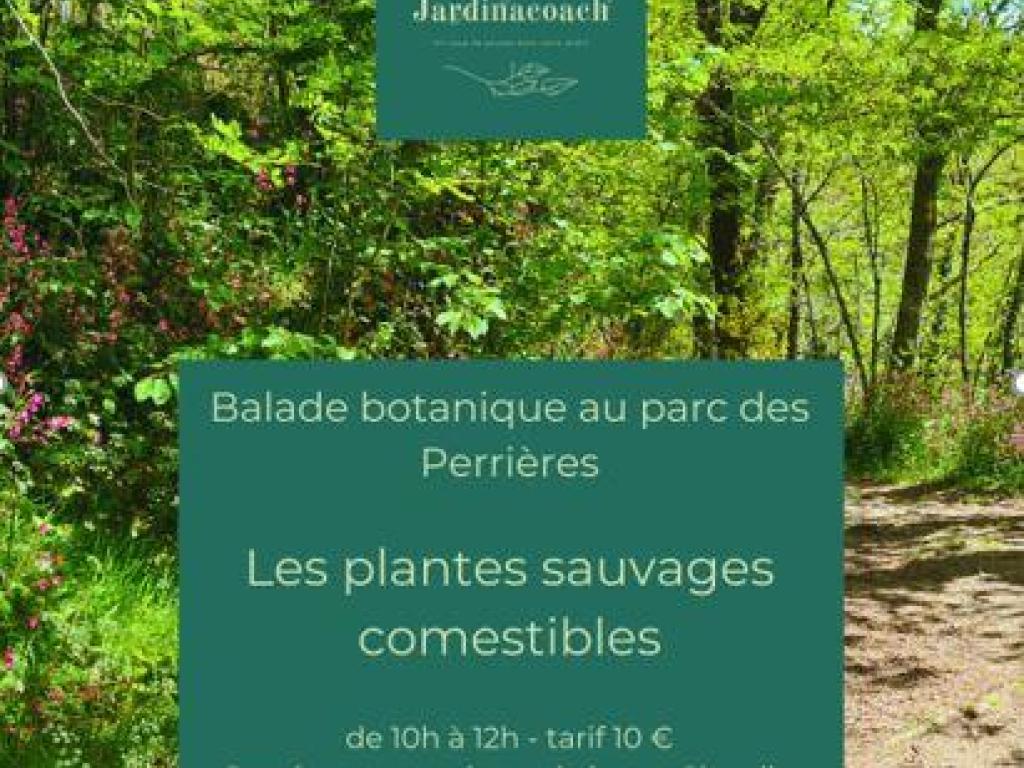 Balade botanique au parc des Perrières