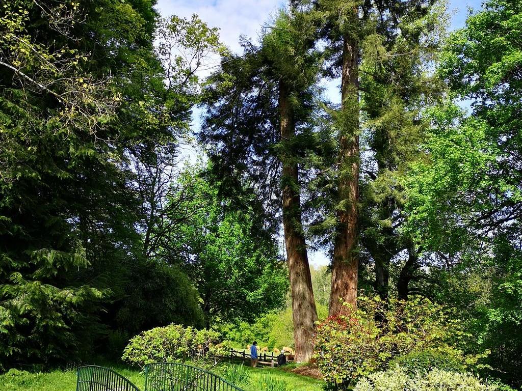 Rendez-vous aux jardins au parc de Meyrignac