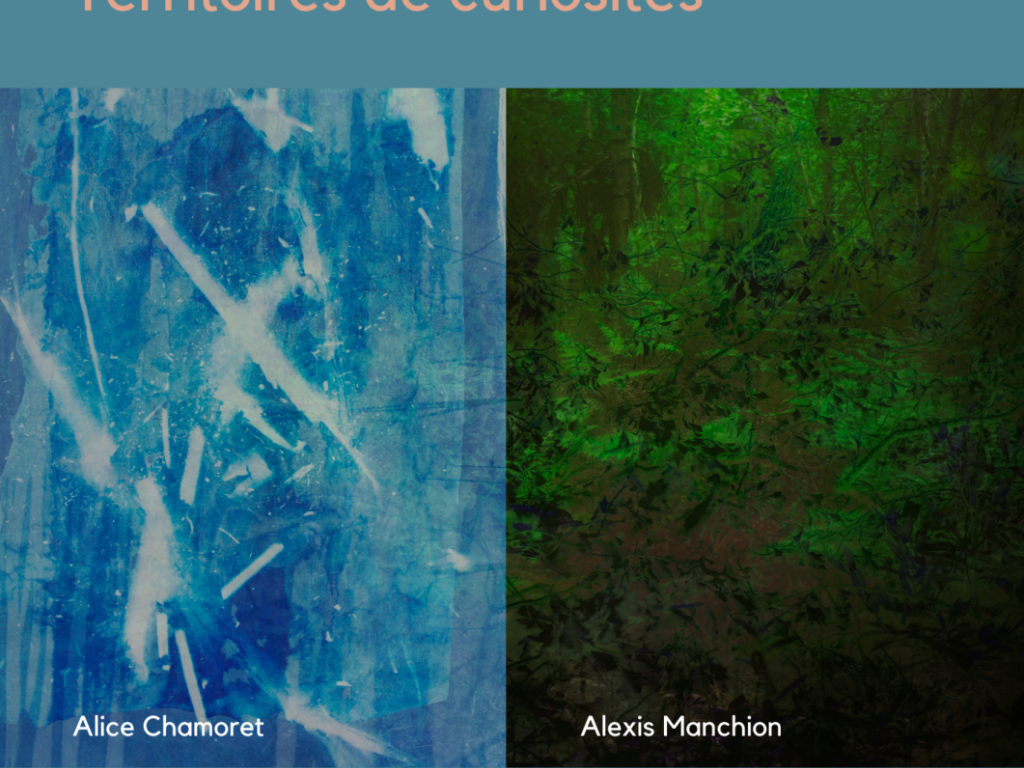 Exposition vente dialogue d'artistes "Territoires de curiosités"