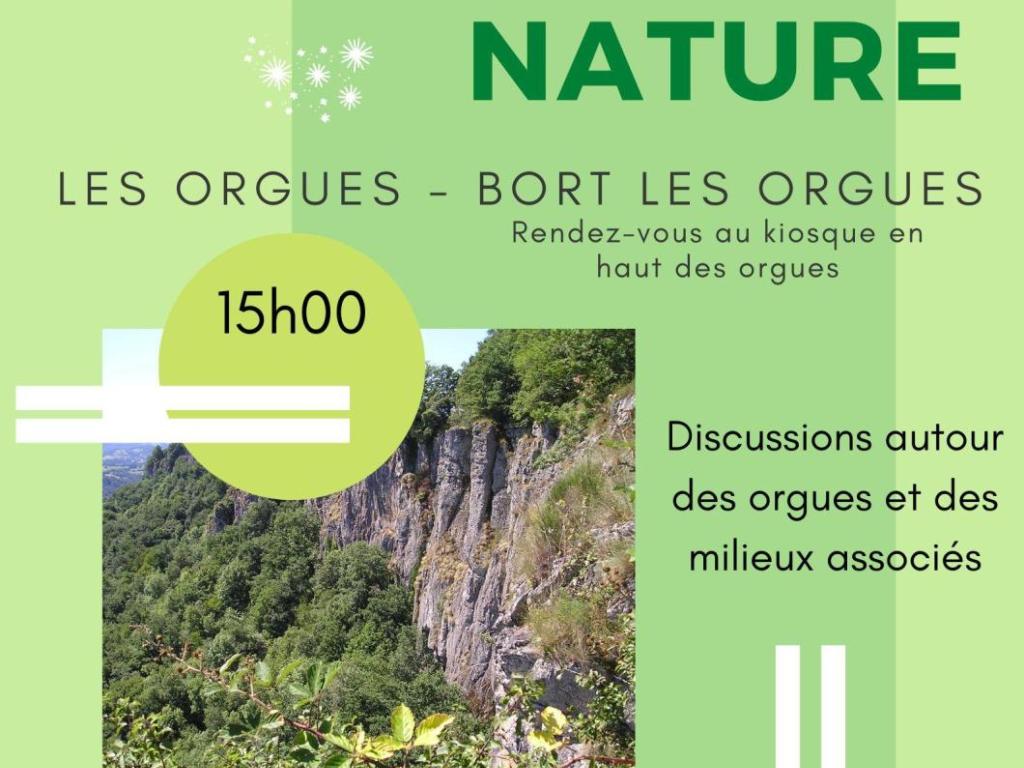 Autour des orgues et des milieux associés