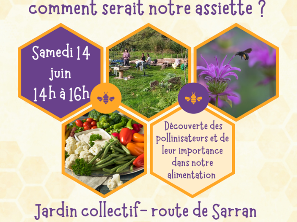 Votre Assiette en Jeu : Rencontrez les Pollinisateurs !