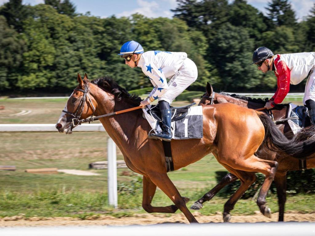 Courses hippiques
