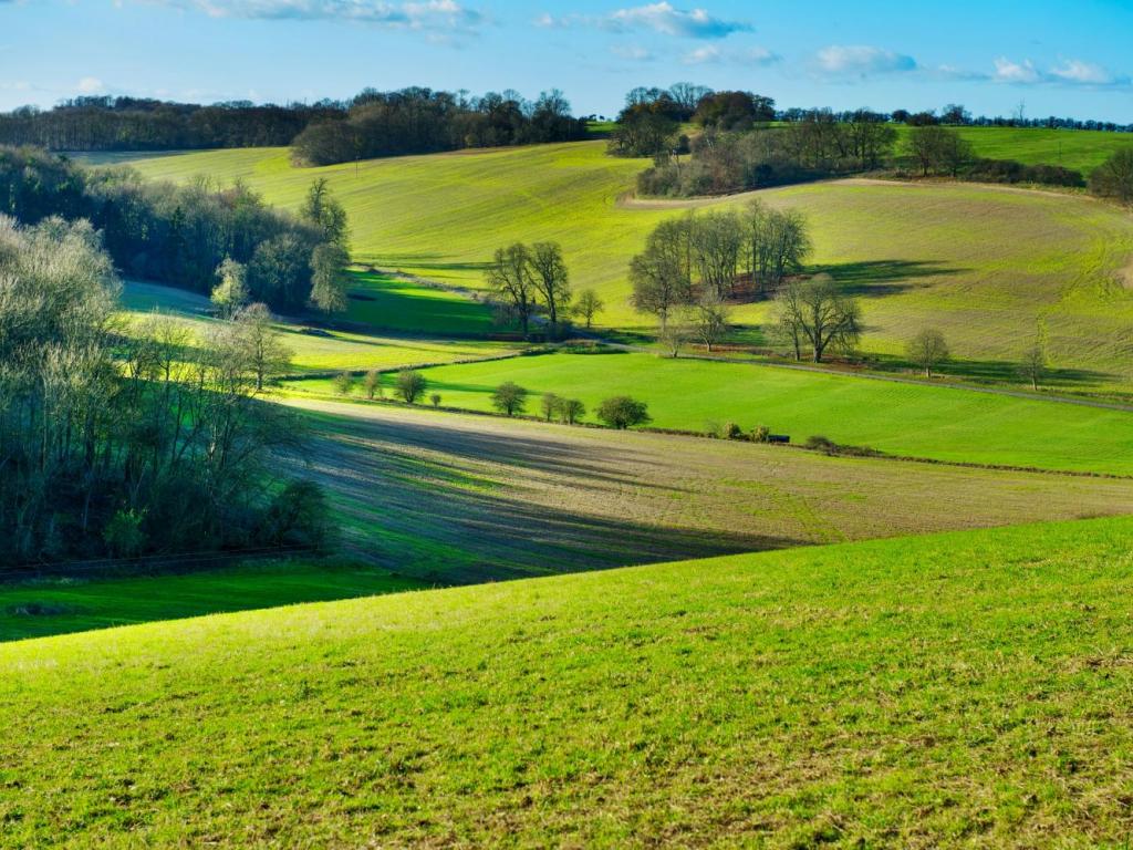 Balade découverte à Saint-Julien-Aux-Bois : L'agriculture se raconte au travers des sentiers
