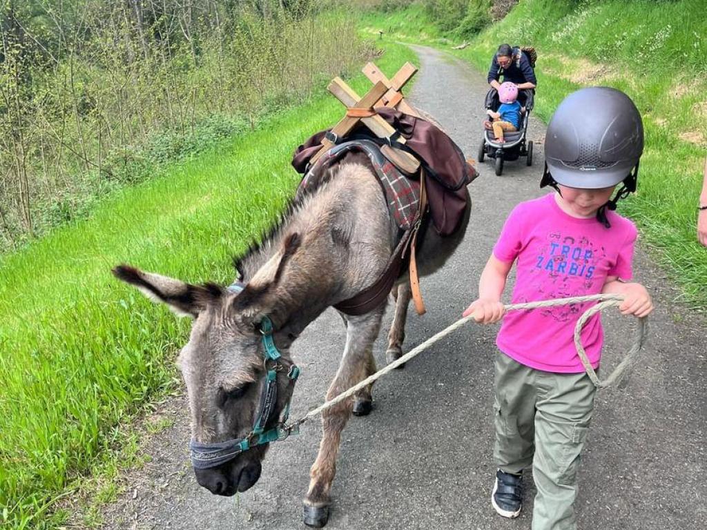 Découverte d'Uzerche avec les ânes voyageurs