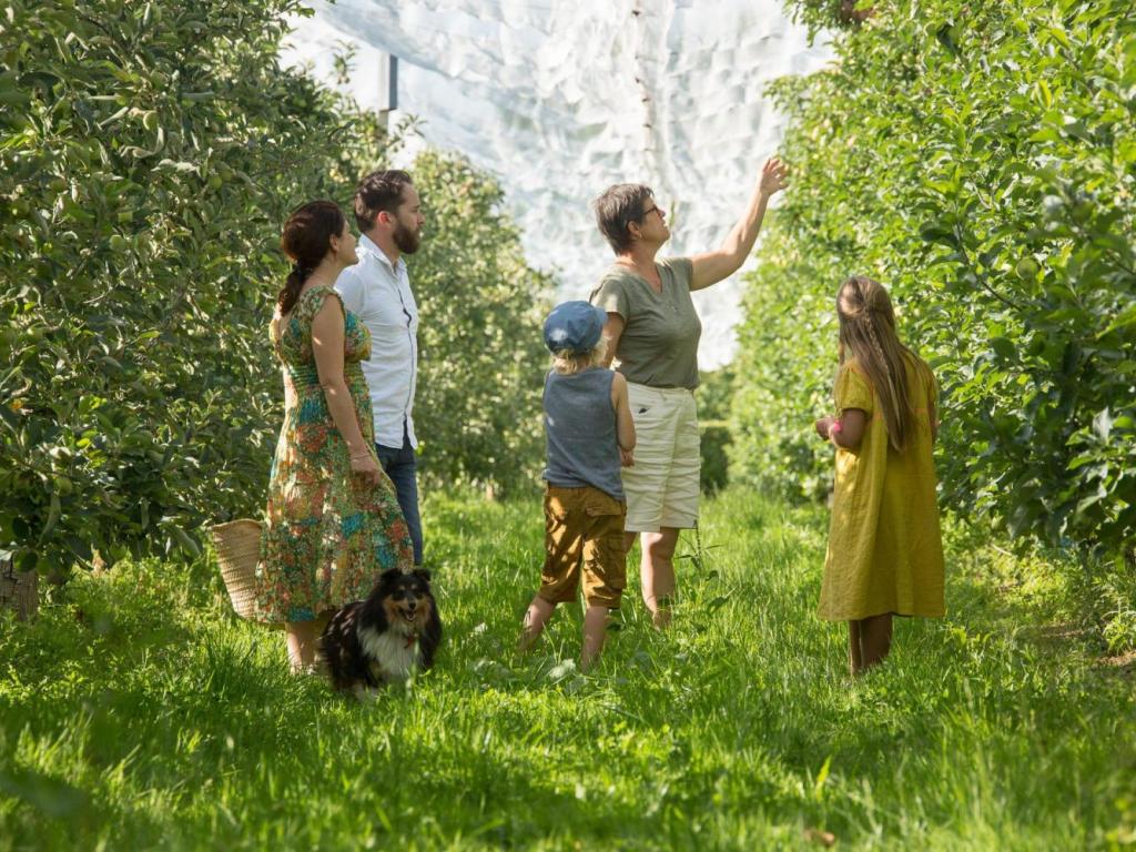 Visite de vergers de pommes
