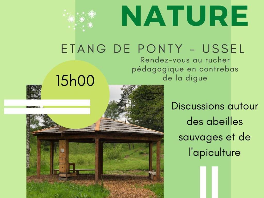 Discussions autour des abeilles sauvages et de l'apiculture