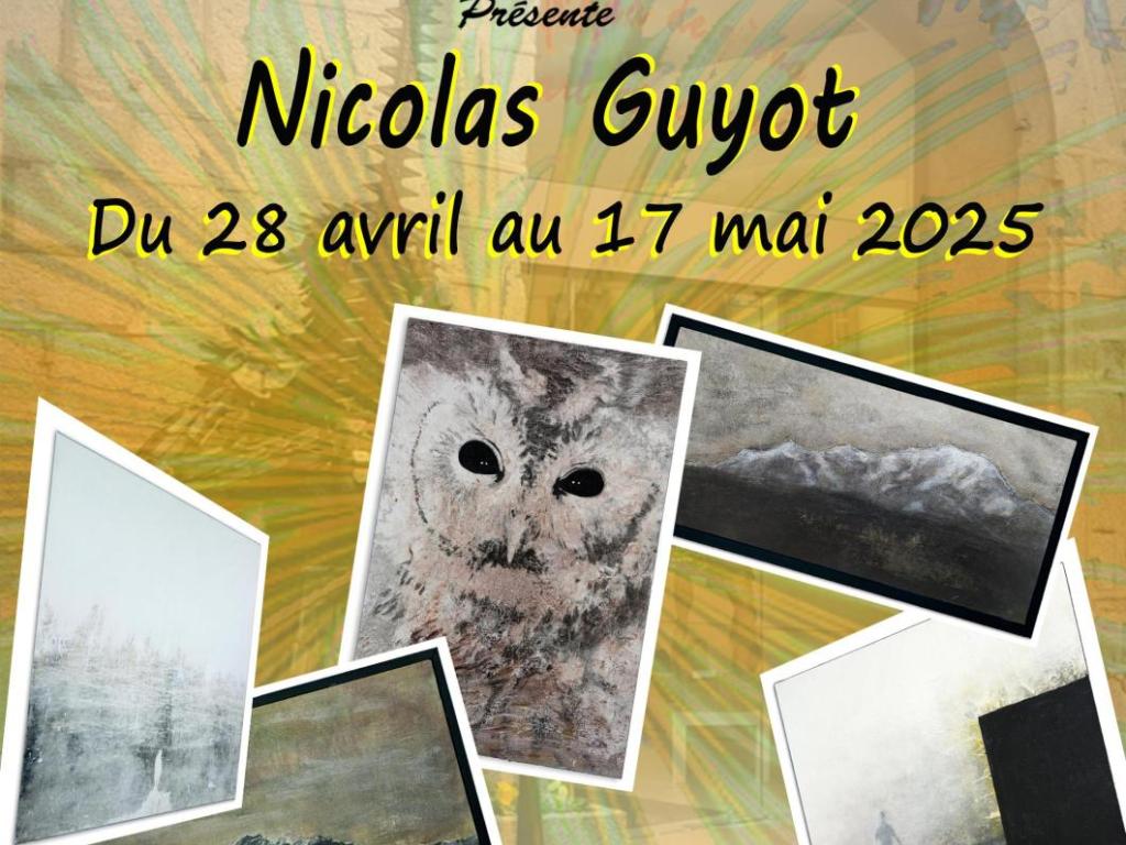 Exposition de Nicolas Guyot