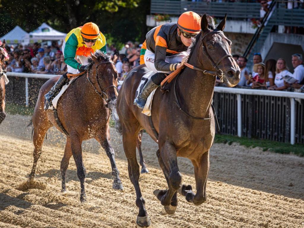 Courses hippiques : Fête du cheval