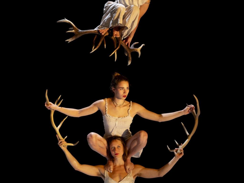 Faune