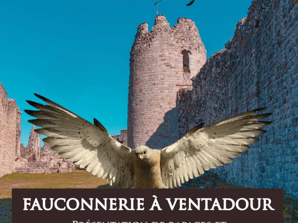 Fauconnerie au Château de Ventadour