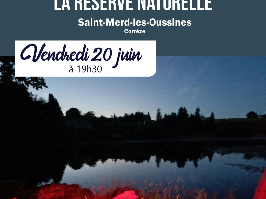 Balade nocturne dans la réserve naturelle
