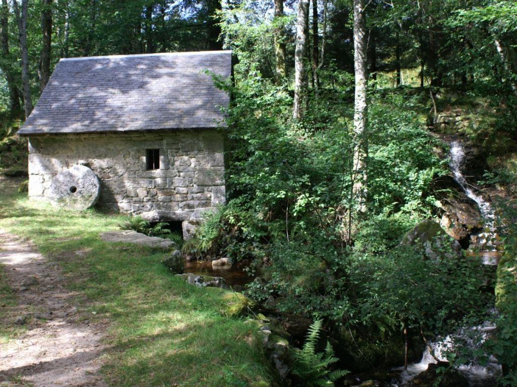 Balade et repas de Printemps