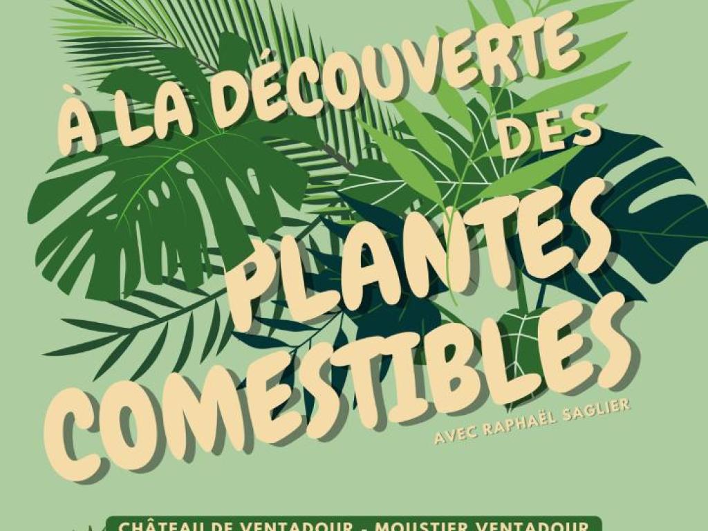 A la découverte des plantes comestibles