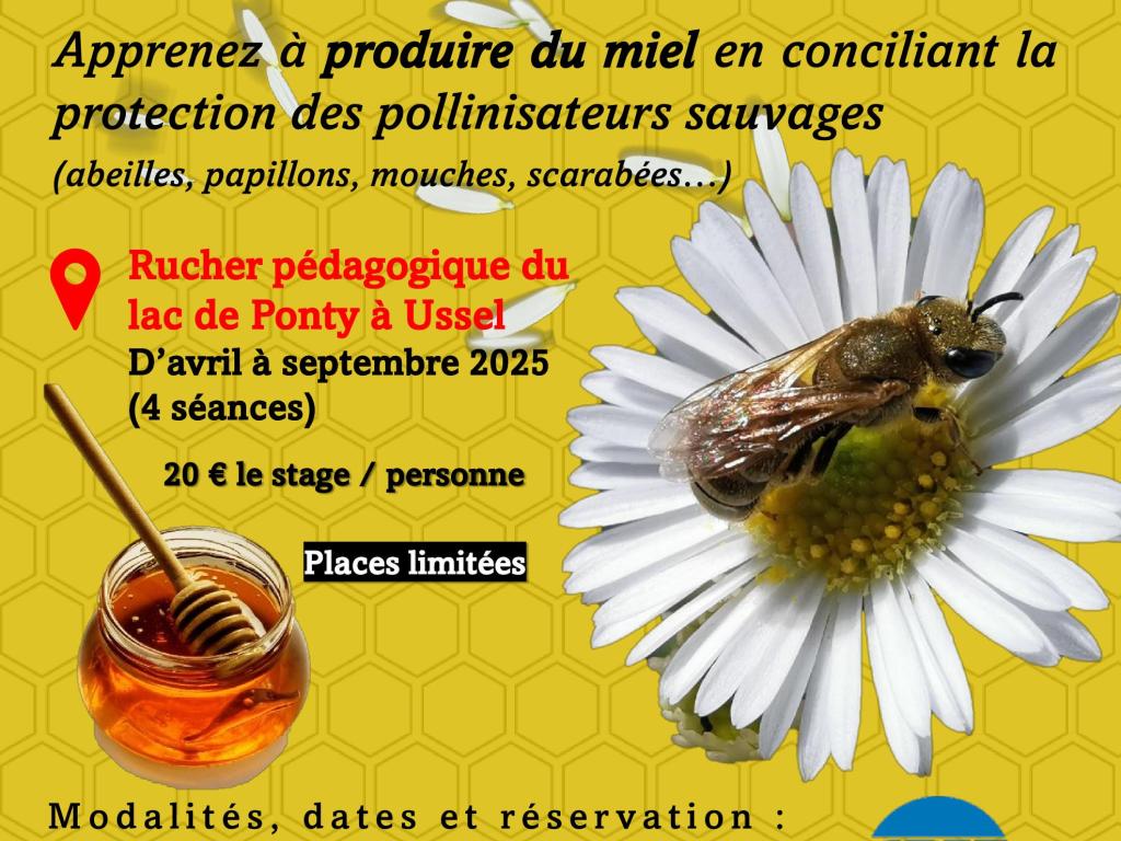 Initiation à l'apiculture