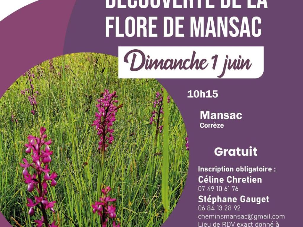 Randonnée à la découverte de la flore de Mansac