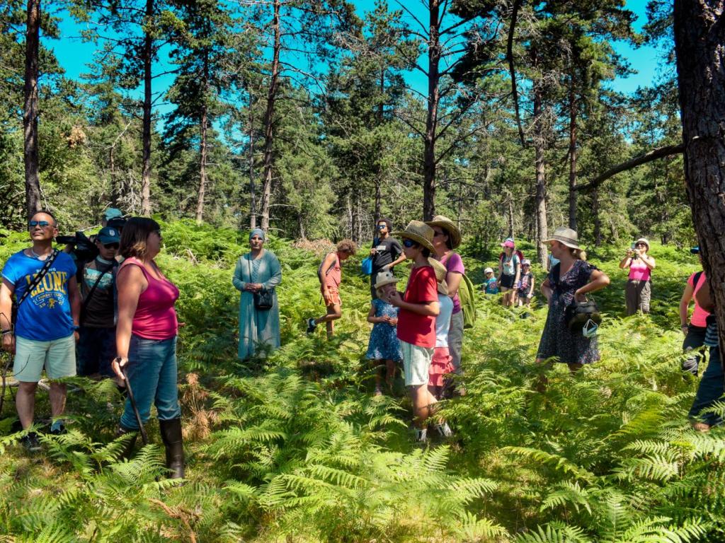 Balade animée aux tourbières