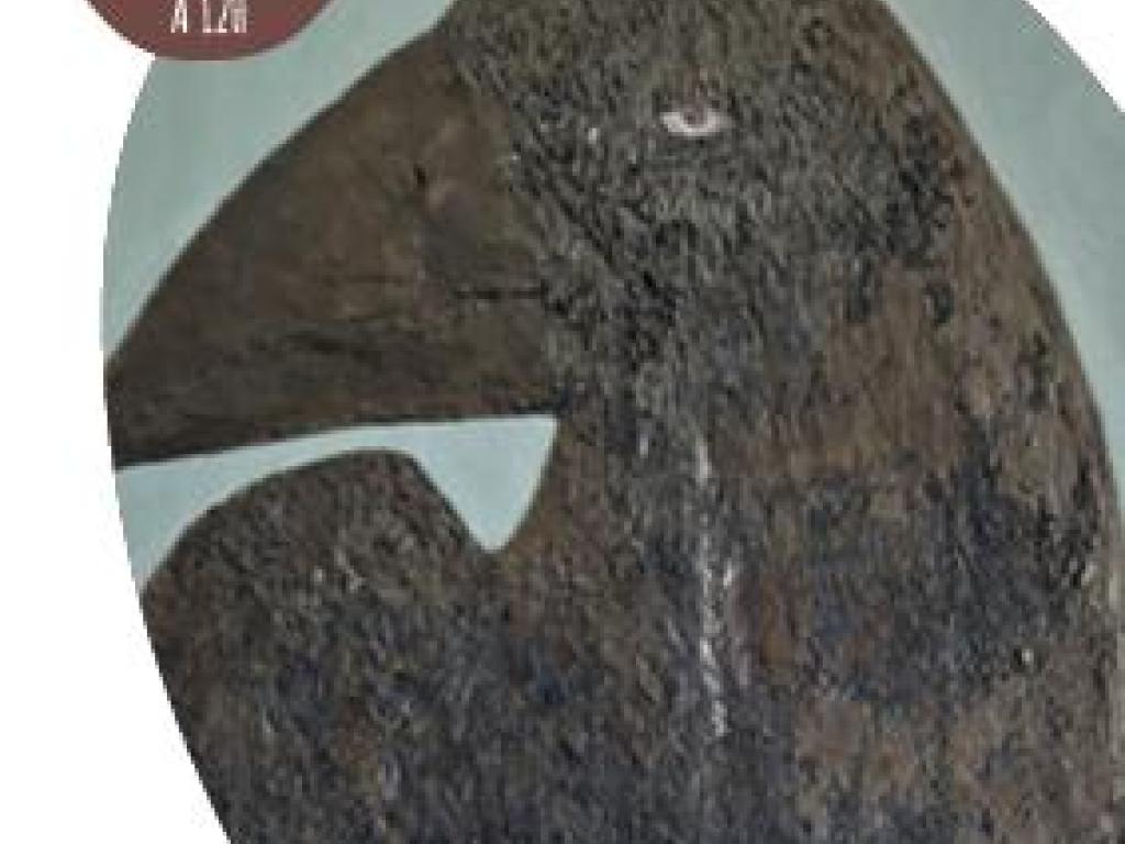 Cours des Arts : Exposition Ranou Kadi Zaouch