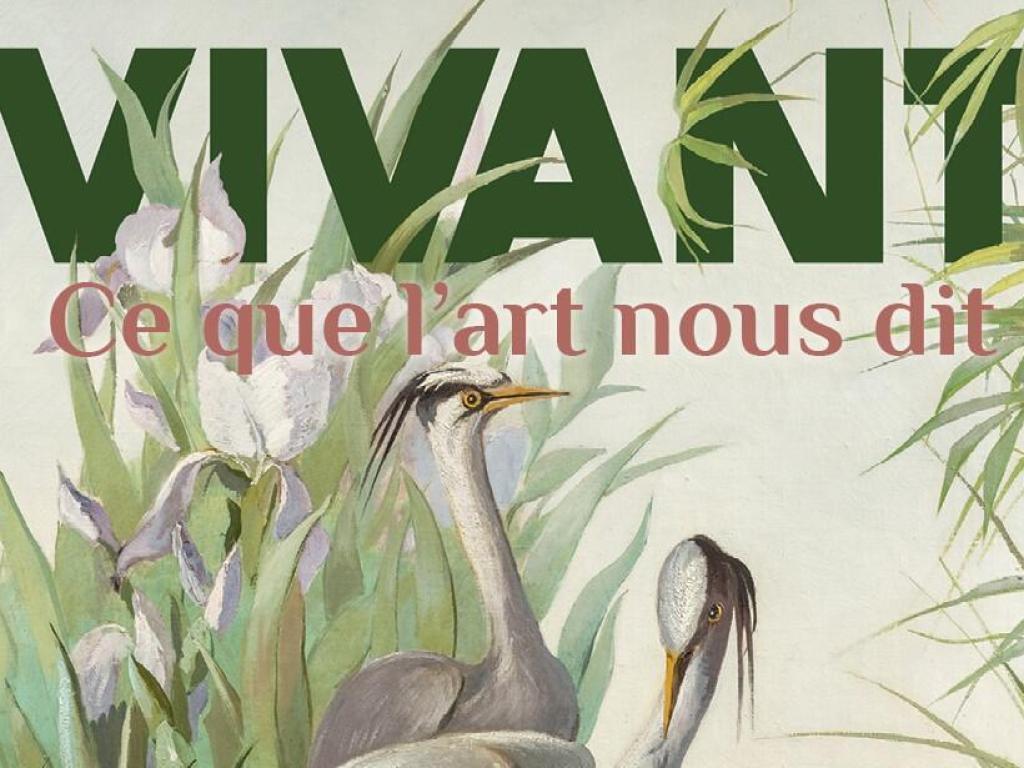 Cité de l'accordéon et des patrimoines : Découverte en famille : Explorateur du vivant