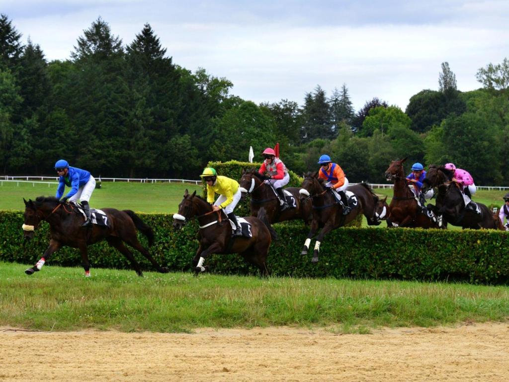 Courses hippiques