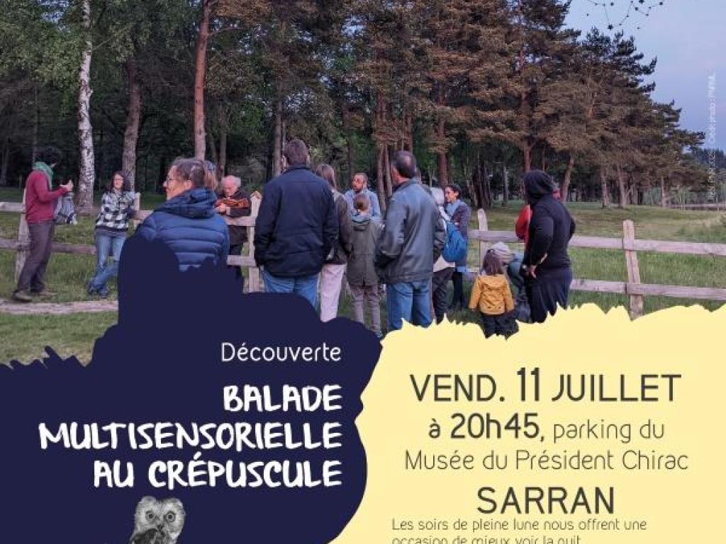 Balade multisensorielle au crépuscule