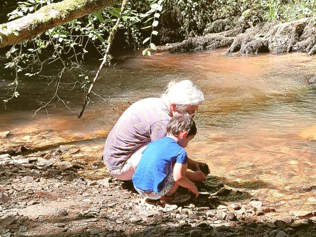 La faune et la flore du vallon de Roquecourbine