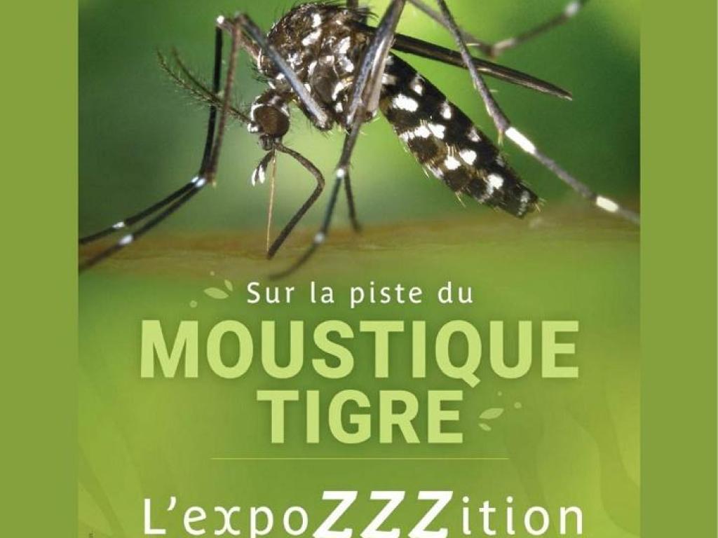 : Sur la piste du moustique tigre : une expo piquante à la médiathèque !