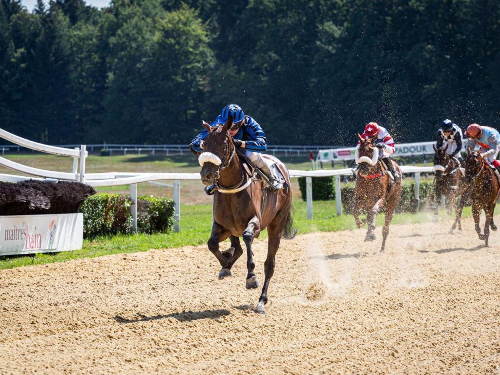 Courses hippiques