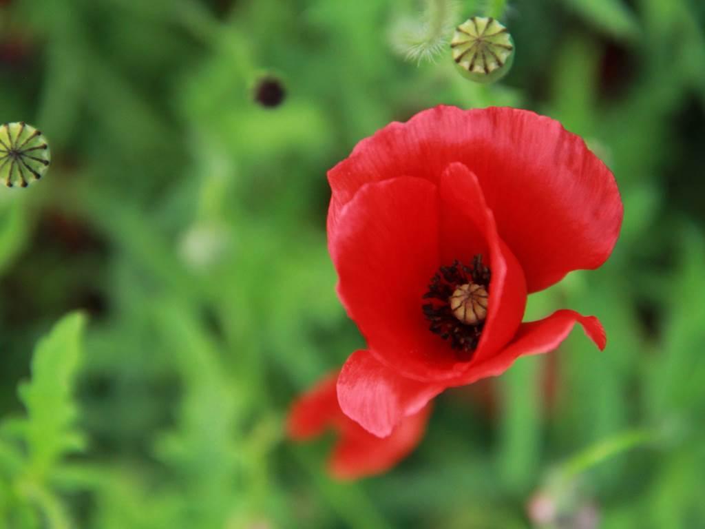 Rendez-vous  aux Jardins Sothys