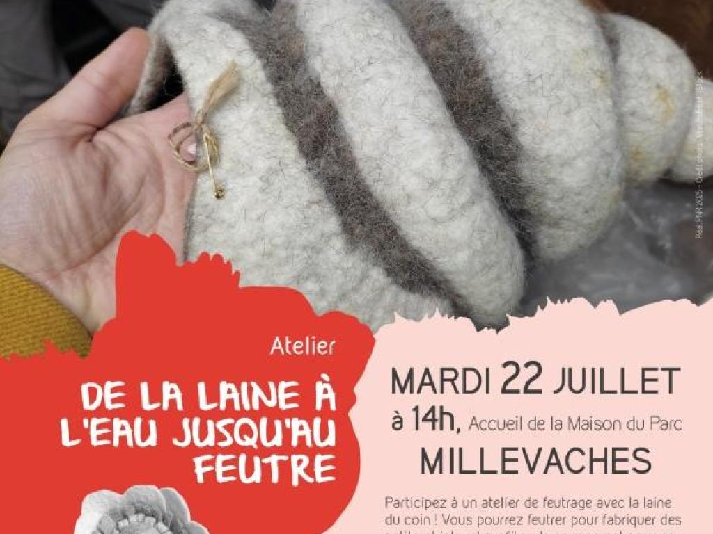 De la laine à l'eau jusqu'au feutre