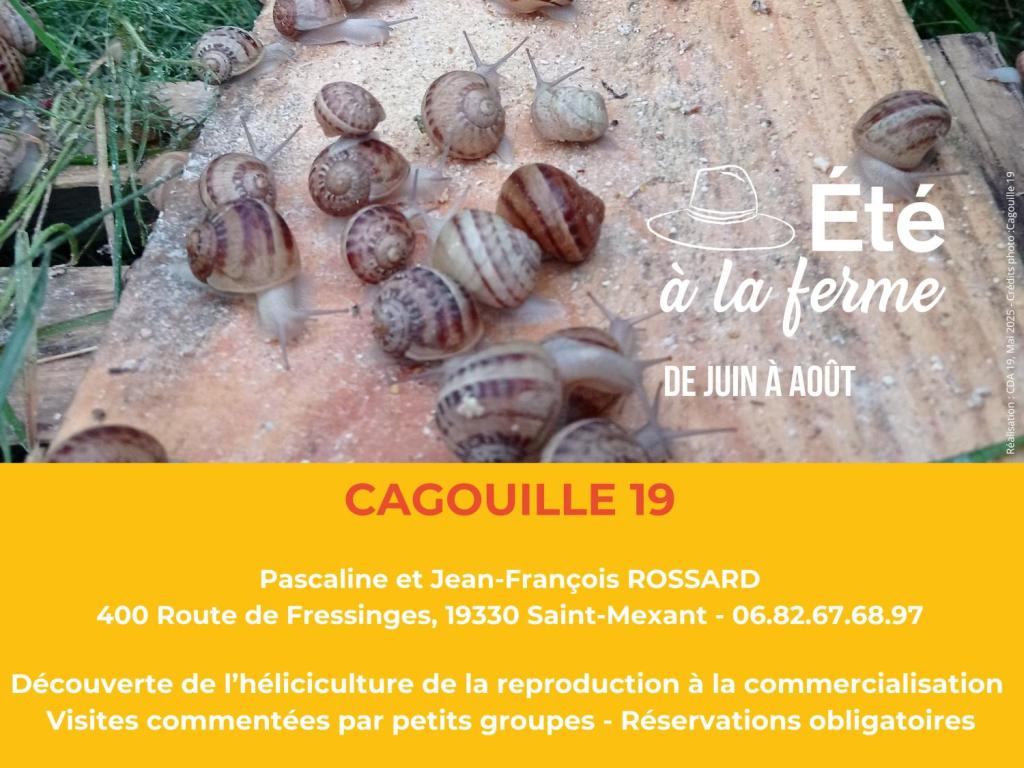 CAGOUILLE19 - ÉTÉ À LA FERME - BAF