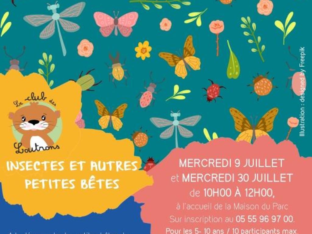 CLUB DES LOUTRONS : Insectes et autres petites bêtes