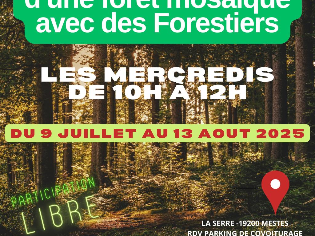 Découverte d'une forêt mosaïque avec des forestiers