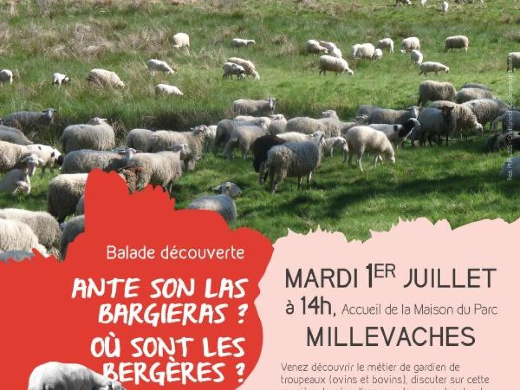 Ante son las bargerias ? Où sont les bergères ?
