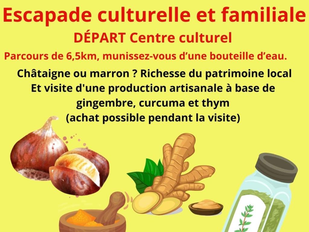 Escapade culturelle et familiale