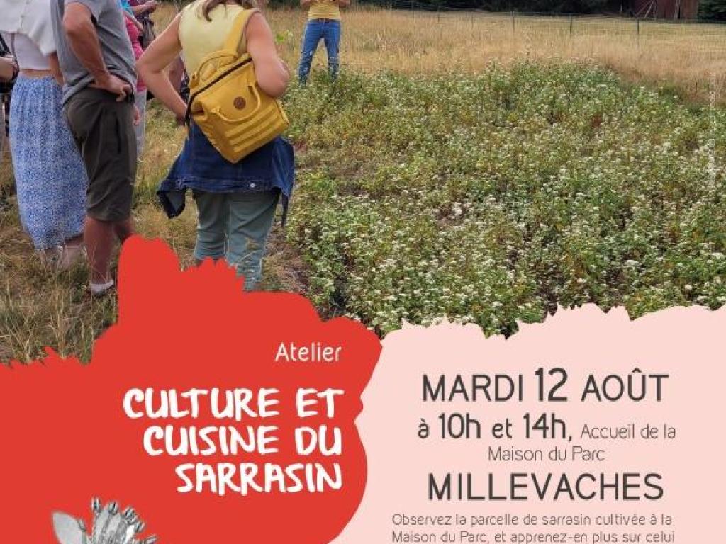 Culture et cuisine au sarrasin