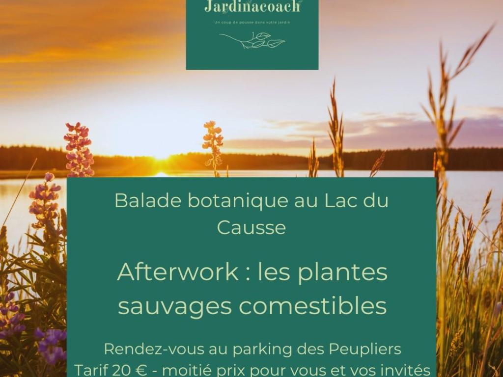 Afterwork botanique au Lac du Causse