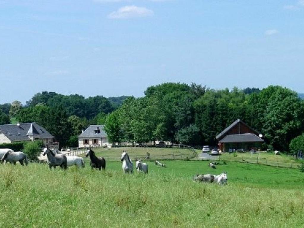 SARL Ferme Équestre du Mialaret - Gîte de Groupe 12 à 20 personnes