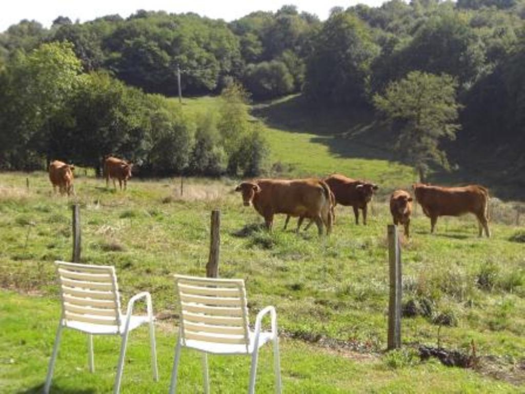 Gîte des Chaises Basses