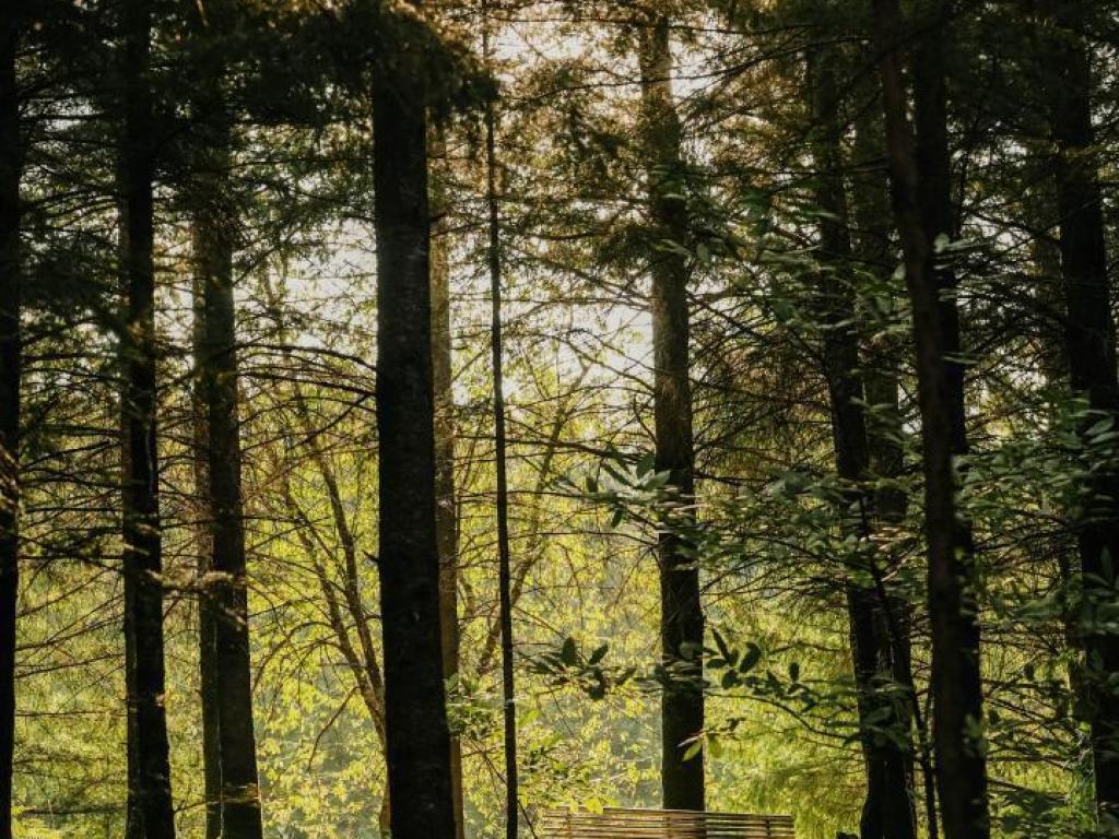 Lodge Spalazen nature Armand