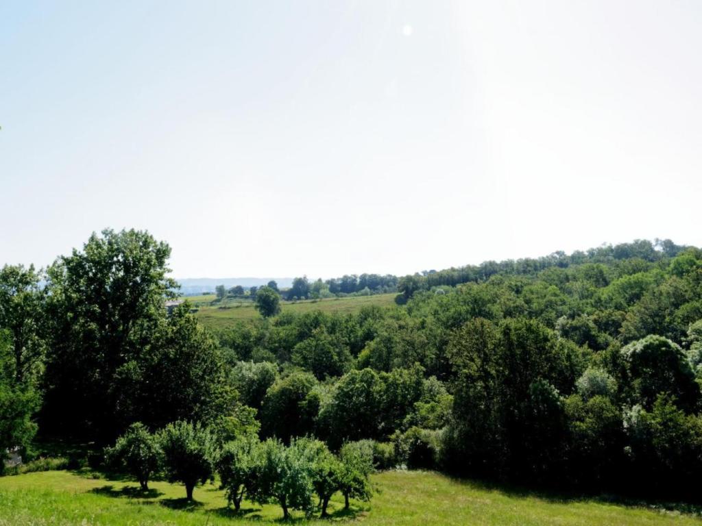 Les Palinières