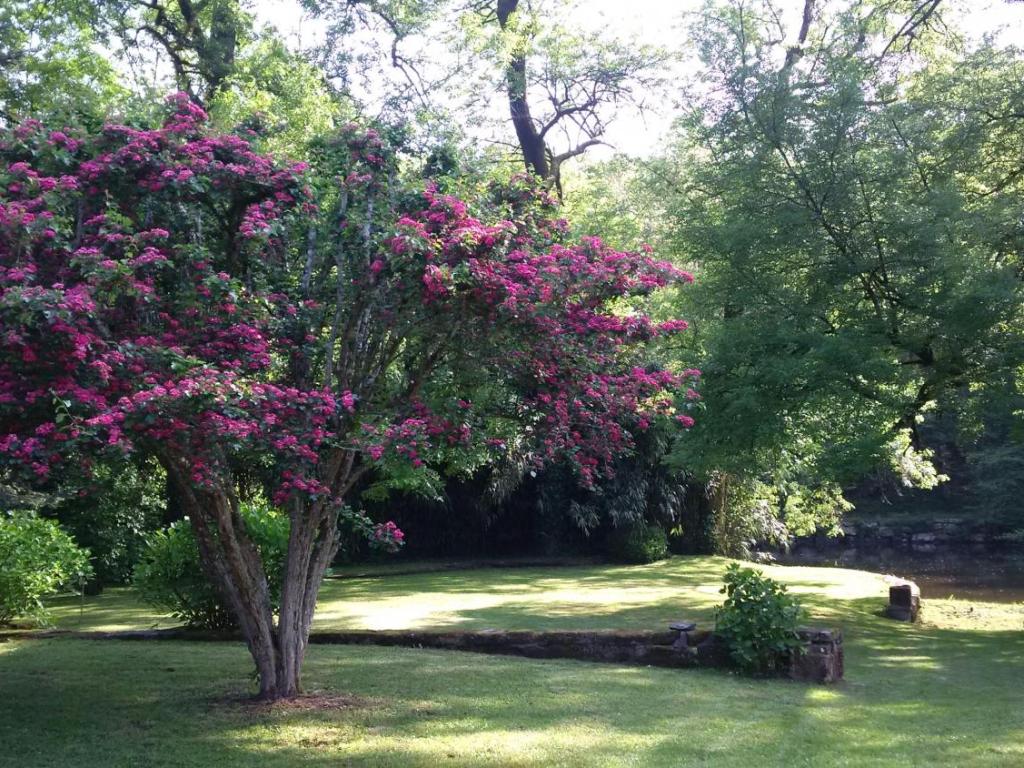 Location Clévacances MAUBEAU