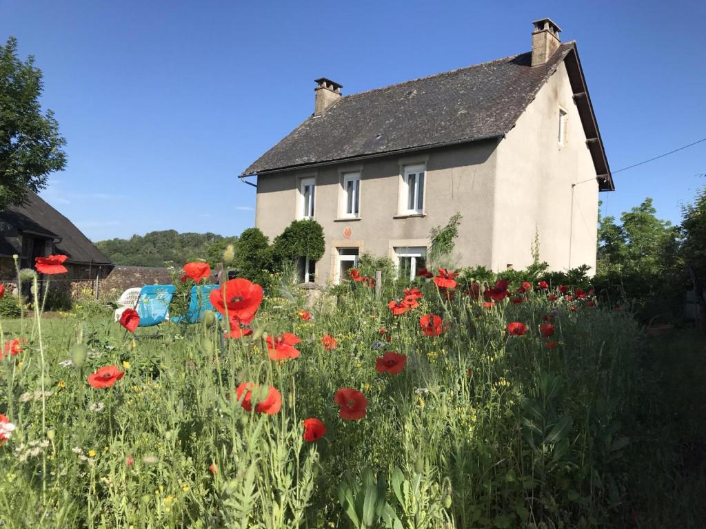 L'Espace Champêtre - gîte Estel
