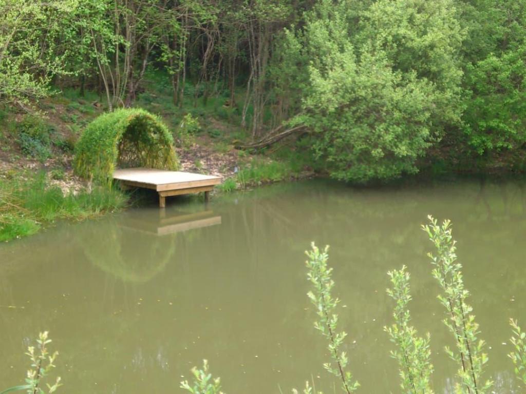 La petite maison de la sapinière