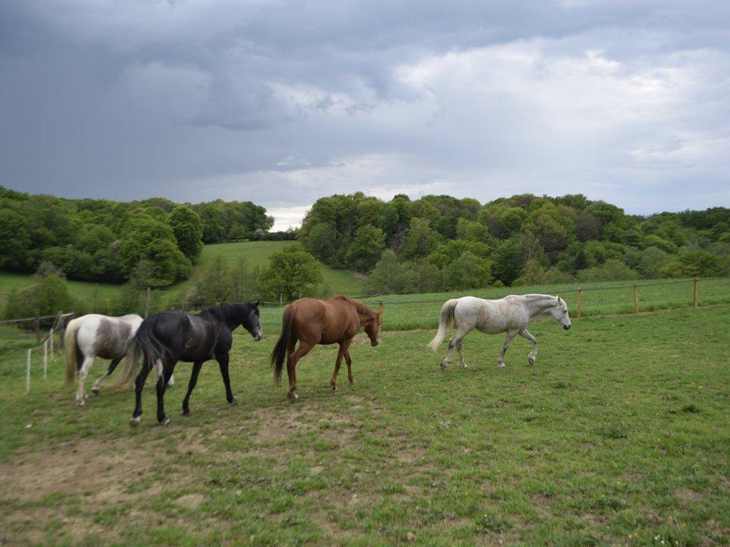 Meublé de Tourisme le pré des Colombes